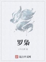 罗枭翔的公司是什么