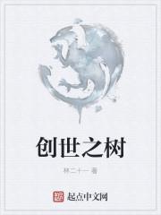 创世之书攻略视频