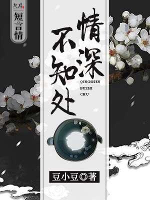 魔道祖师之情深不知处