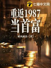 重返1987当首富完结版