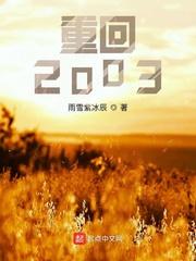 老实人重回2003