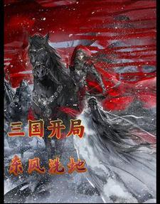 三国开局江东之主卡夜阁