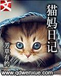 猫妈日记韩秋月